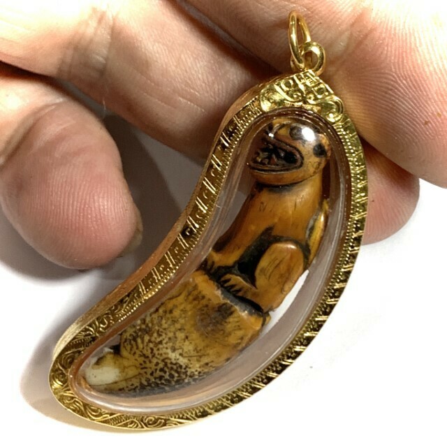 Khiaw Suea Gae Tiger Tooth Amulet Hand Spell Inscriptions Solid Gold Casing Luang Por Parn Wat Bang Hia Free Express Shipping