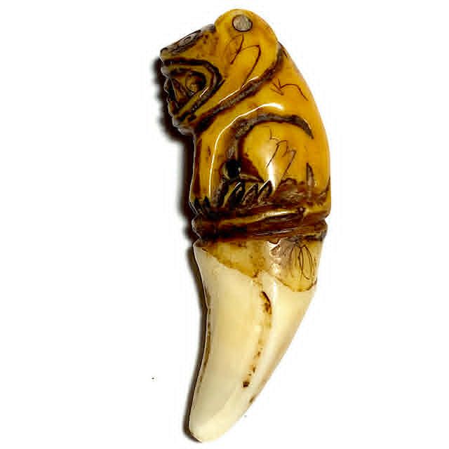 Khiaw Suea Tiger Tooth Amulet - Luang Por Parn Wat Bang Hia Kong Grapan Chadtri Maha Amnaj Talismanic Amulet of Master Class Status Khiaw Suea Tiger Tooth Amulet - Luang Por Parn Wat Bang Hia Kong Grapan Chadtri Maha Amnaj Talismanic Amulet of Master Class Status