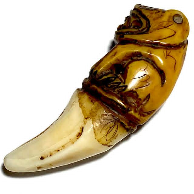 Khiaw Suea Tiger Tooth Amulet - Luang Por Parn Wat Bang Hia Kong Grapan Chadtri Maha Amnaj Talismanic Amulet of Master Class Status Khiaw Suea Tiger Tooth Amulet - Luang Por Parn Wat Bang Hia Kong Grapan Chadtri Maha Amnaj Talismanic Amulet of Master Class Status
