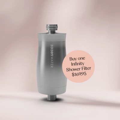 Zazen Shower Head Filter