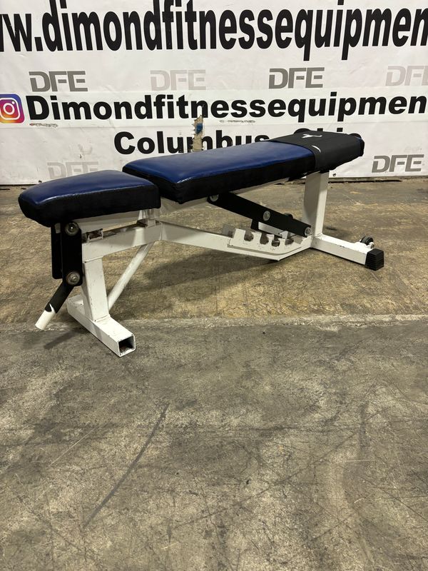 Stray Dog Adjustable Bench