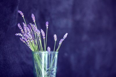 fresh lavender bouquet (when in season)