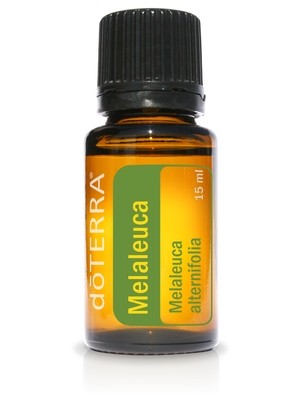 Melaleuca Essential Oil (Melaleuca alternifolia) Tea Tree, Tax and shipping all include