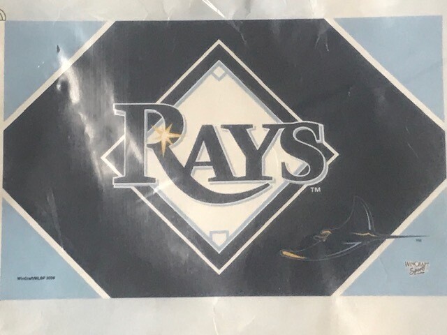 Tampa Bay Rays flag