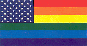 3&#39;x5&#39; Rainbow  with star field nylon