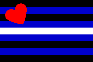 3&#39;x5&#39; Leather flag nylon