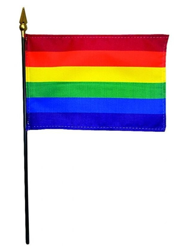 4&quot;x6&quot; rainbow flag on staff