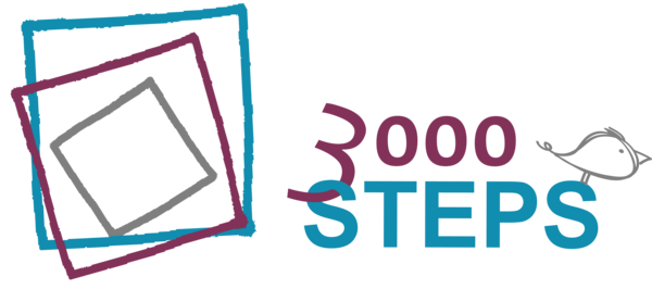 3000 Steps Online Store