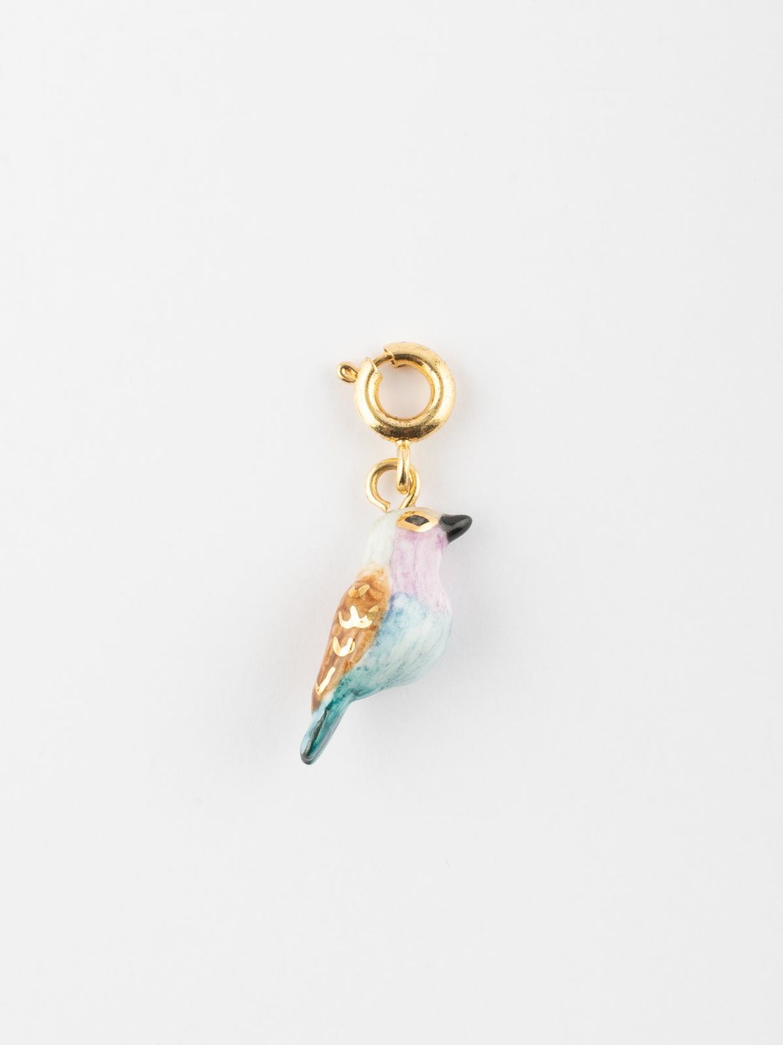 Charm's oiseau Rollier