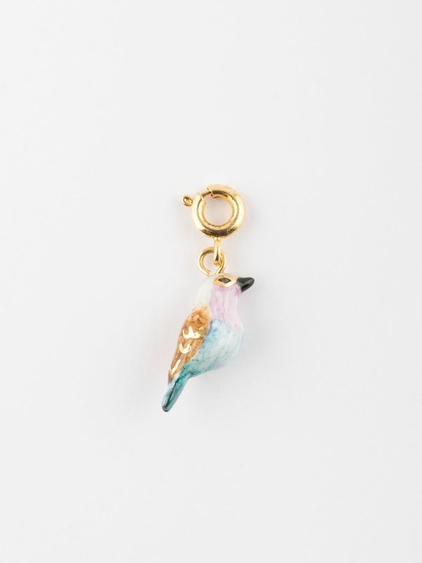 Charm's oiseau Rollier