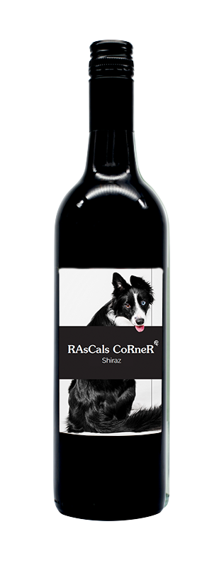 2019 Shiraz (Coming Soon)