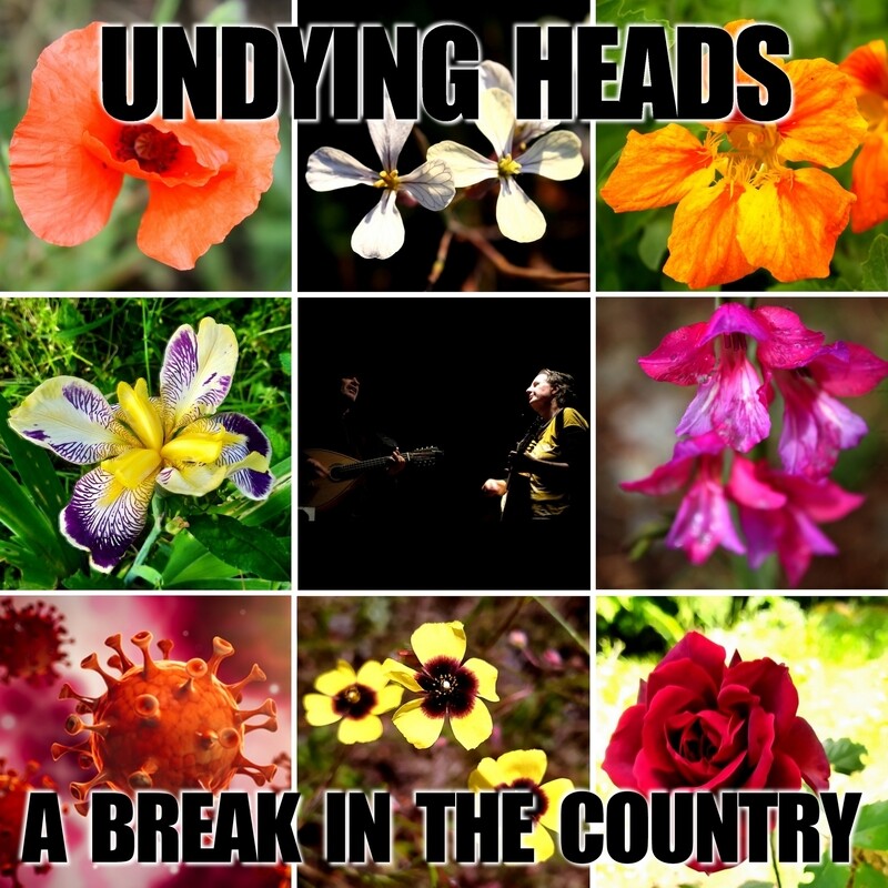 A Break in the Country CD album