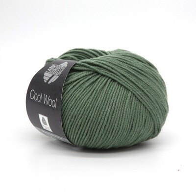 cool wool зеленый мох 2086
