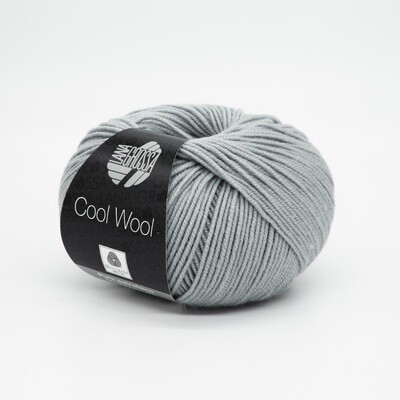 cool wool серый 589