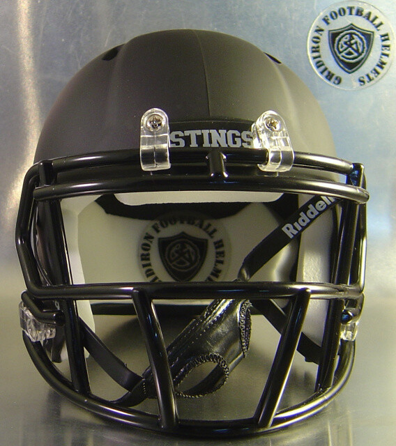 Texas City Stingarees HS 2013-2015 (TX) - mini-helmet