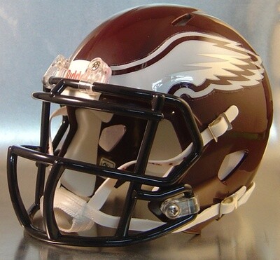 Garland Rowlett Eagles HS 2013-2014 (TX) - mini-helmet