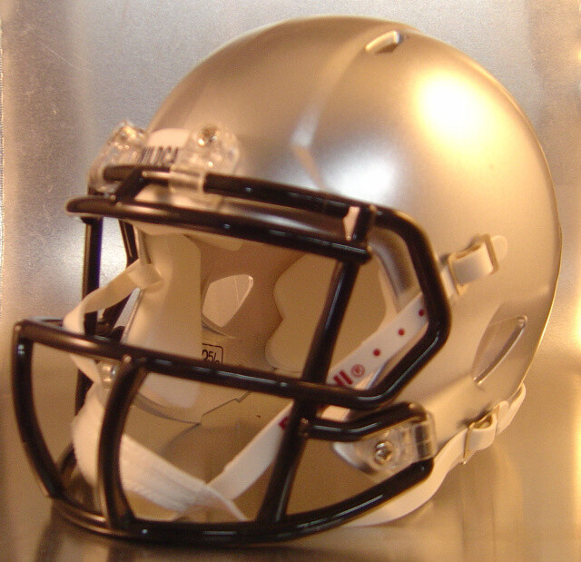Paris Wildcats HS 2013 (TX) - mini-helmet