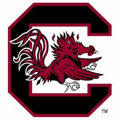 2020 South Carolina - SL team sheet