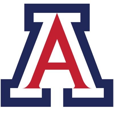 1996-1997 Arizona - BL team sheet