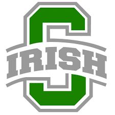 1995 Dublin Scioto (OH) - FNL team sheet​
