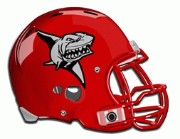 1982 Palacios (TX) - FNL team sheet​