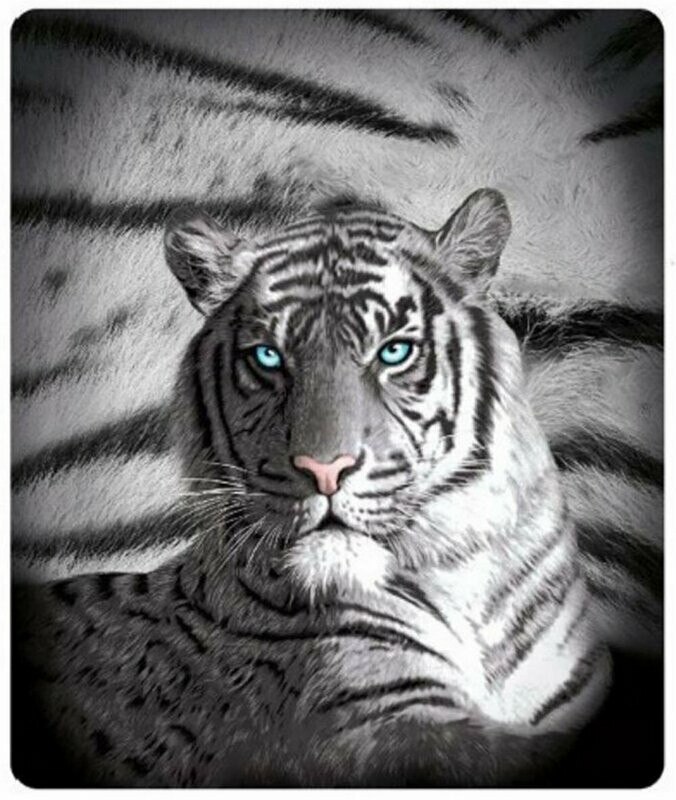 Blue Eyes Stripes Tiger Polar Fleece Throw Rug