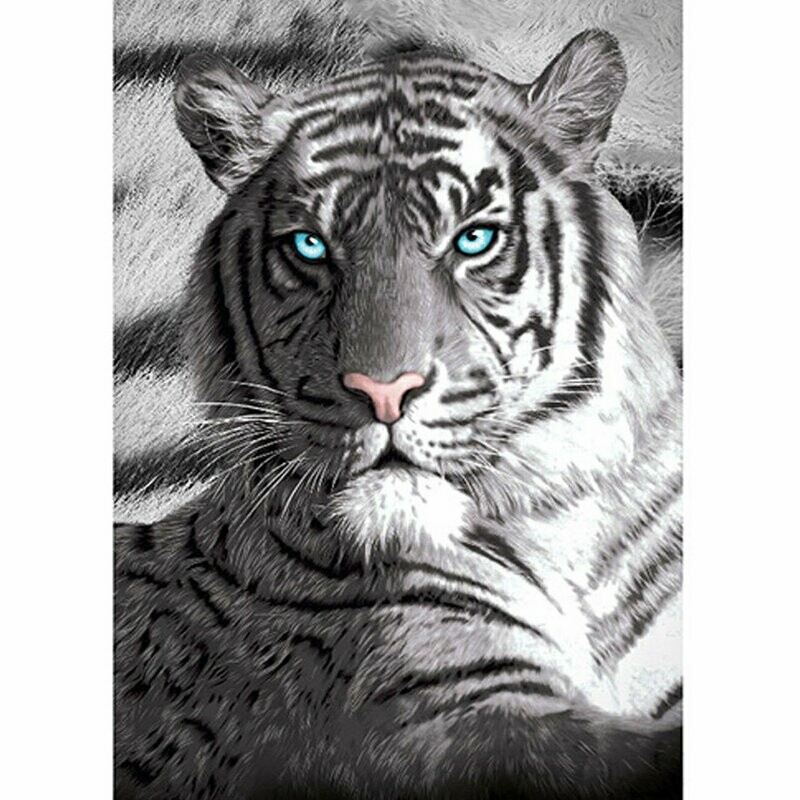 Blue Eyes Tiger Beach Pool Bath Towel Blue Eyes Tiger Beach Pool Bath Towel