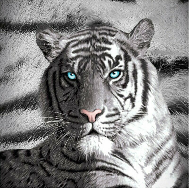 Blue Eyes Stripes Tiger Polar Fleece Throw Rug Blue Eyes Stripes Tiger Polar Fleece Throw Rug