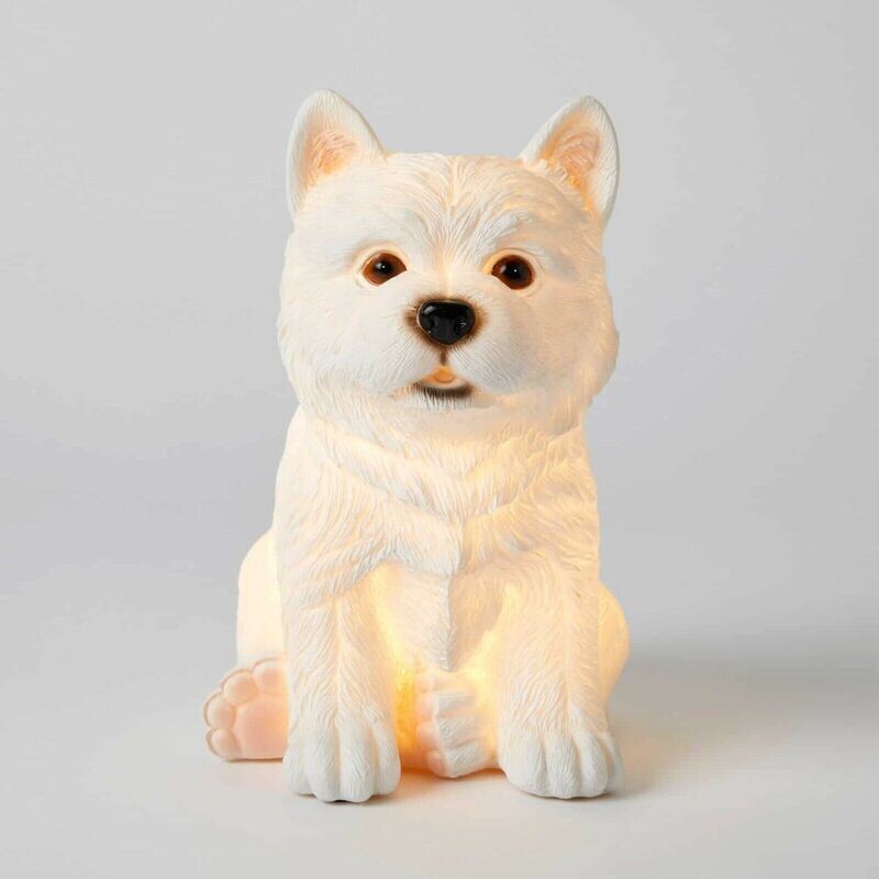 Jiggle &amp; Giggle Dog Night Lights