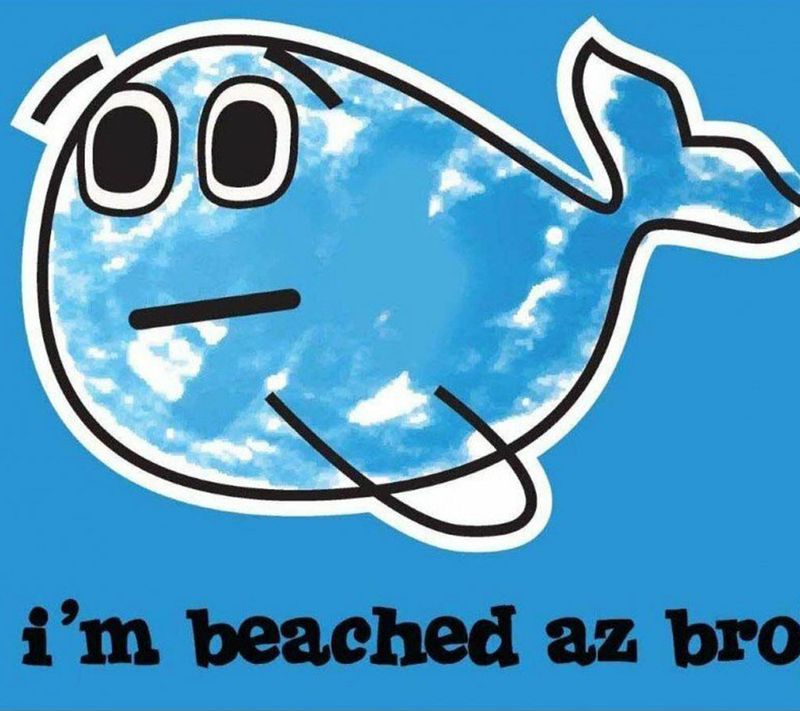 ABC Beached AZ Blue Beach Towel – 100% Cotton | Large Size