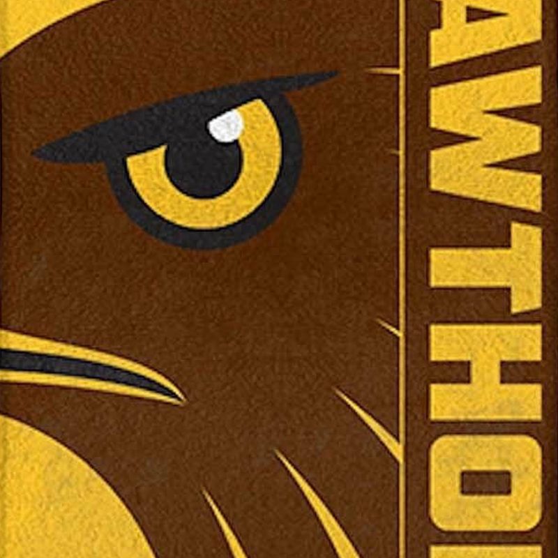 Hawthorn Hawks Team Logo Beach | Pool Bath Towel | Official AFL