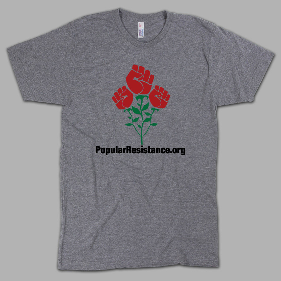 Popular Resistance T-Shirt (gray)