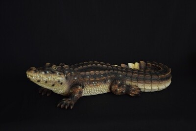 Krokodil 51cm, Poly, braun
