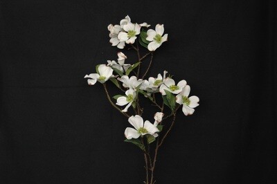 Hartriegelast 100cm, weiss