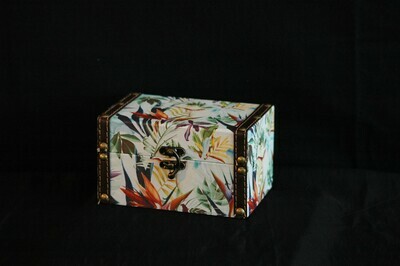 Box "Dschungel" 16cm, bunt