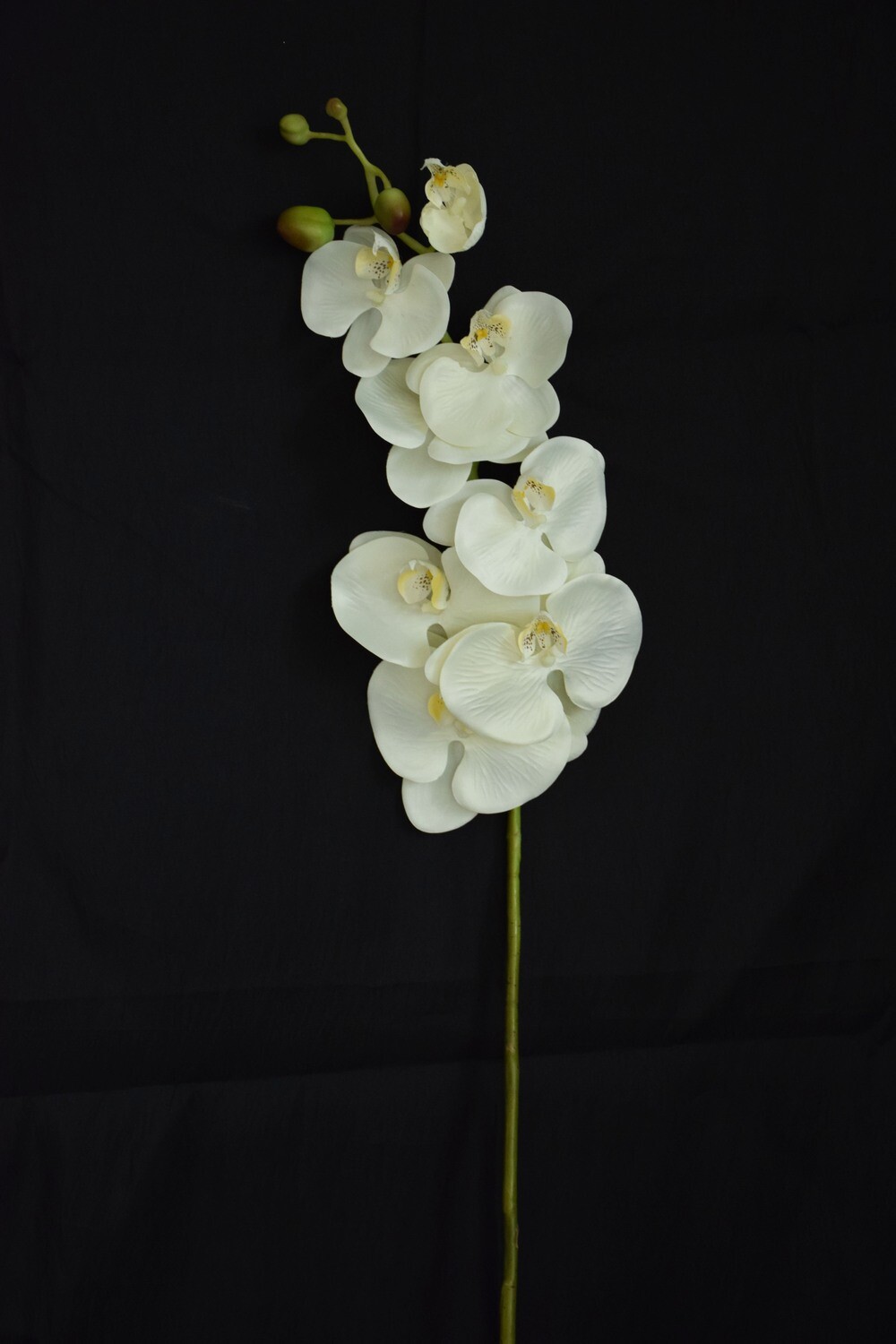 Orchideen Rispe 90cm, weiss