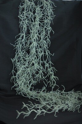 Tllandsia 90cm, grün