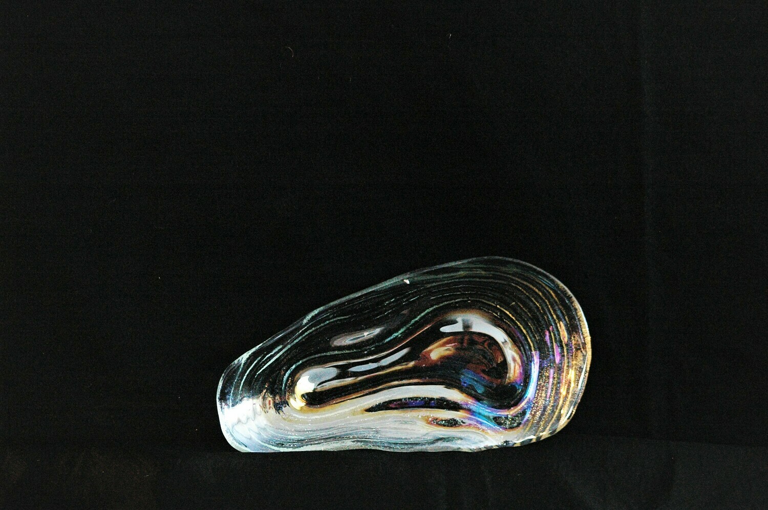 Muschel schale aus Glas 22cm, klar
