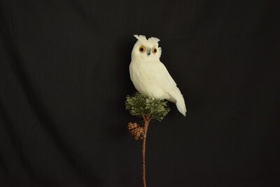 Eule am Stab 21cm, weiss