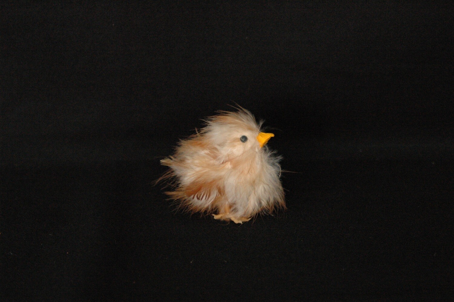 Entenkücken 6cm,natur