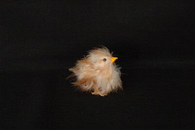 Entenkücken 6cm,natur