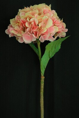 Hortensie 72cm,rosa oder lila