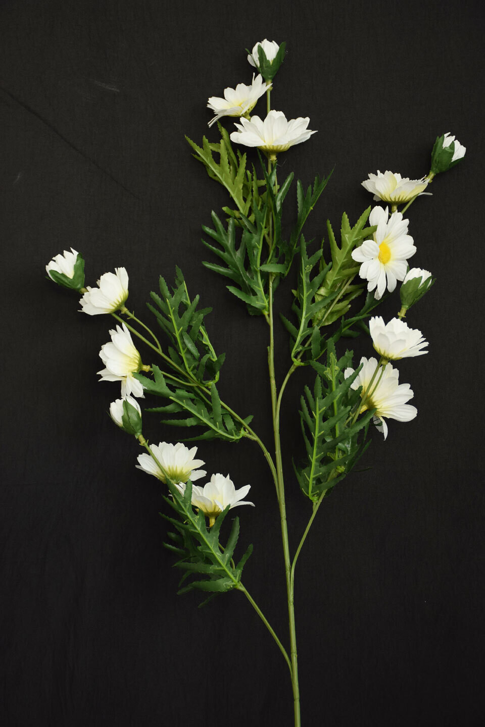 Margaritenzweig 50cm, weiss
