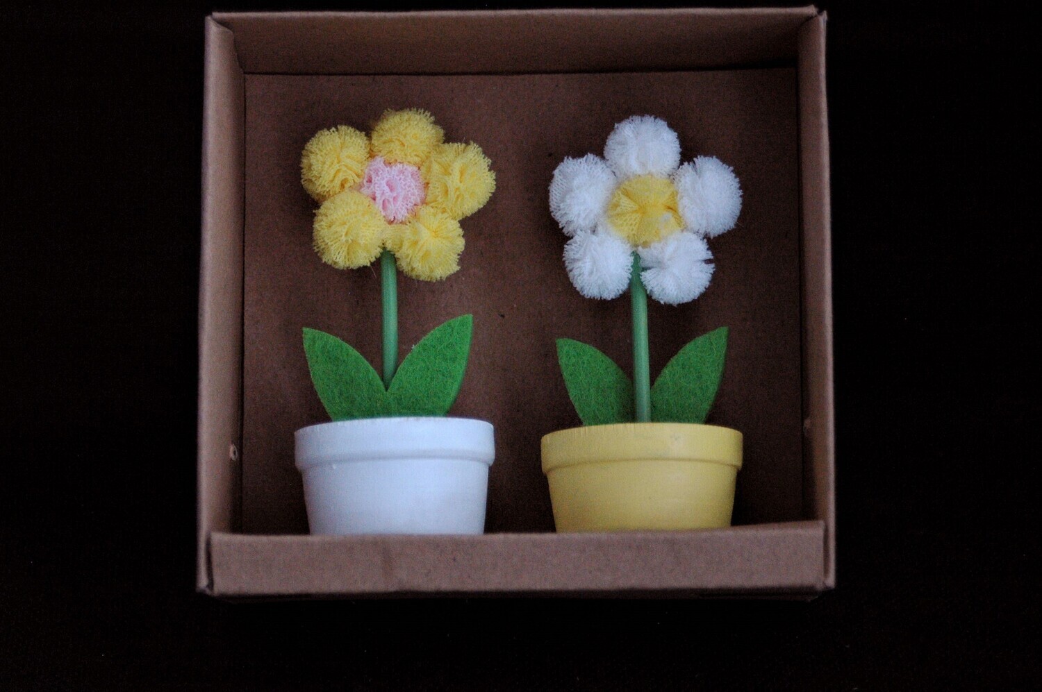 Blumen im Töpfchen 9cm, ass.x2, gelb und weiss