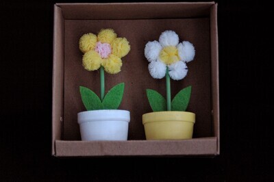 Blumen im Töpfchen 9cm, ass.x2, gelb und weiss
