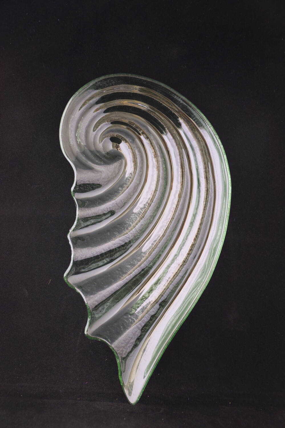 Teller Muschel 29x15cm, Glas