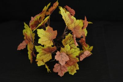 Herbstblätter,Bund à 10Stk.,maisgelb