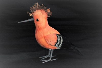 Vogel 22cm, orange