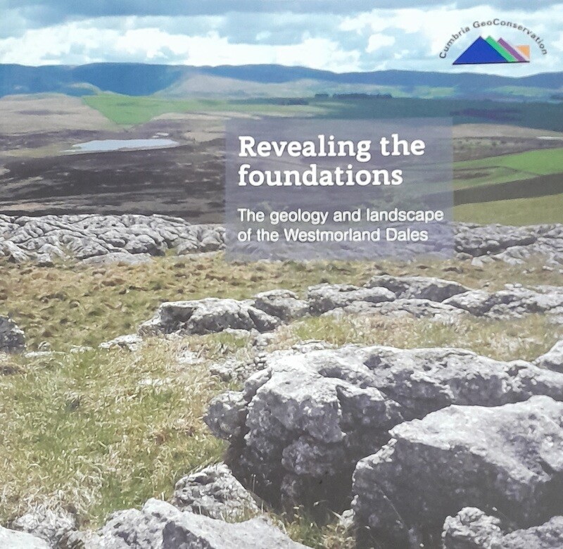 Revealing the Foundations Book