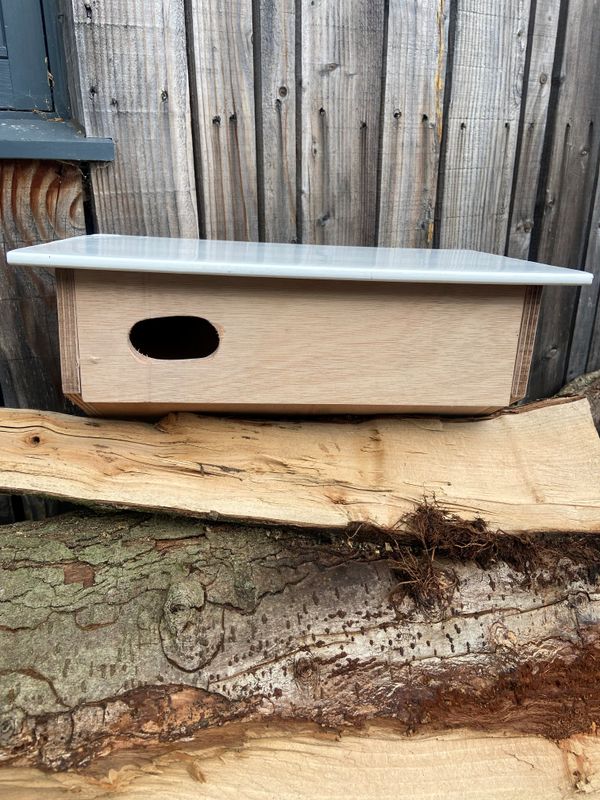Men&#39;s Shed Swift Box